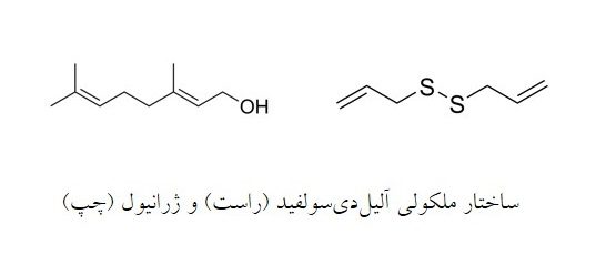 ترکیبات طبیعی