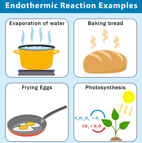 فرایند گرماگیر