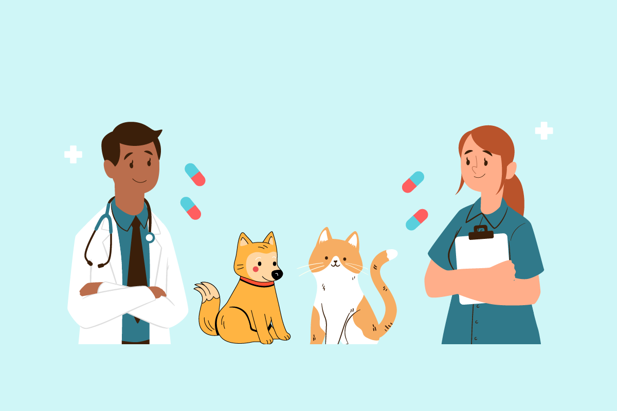 رشته دامپزشکی