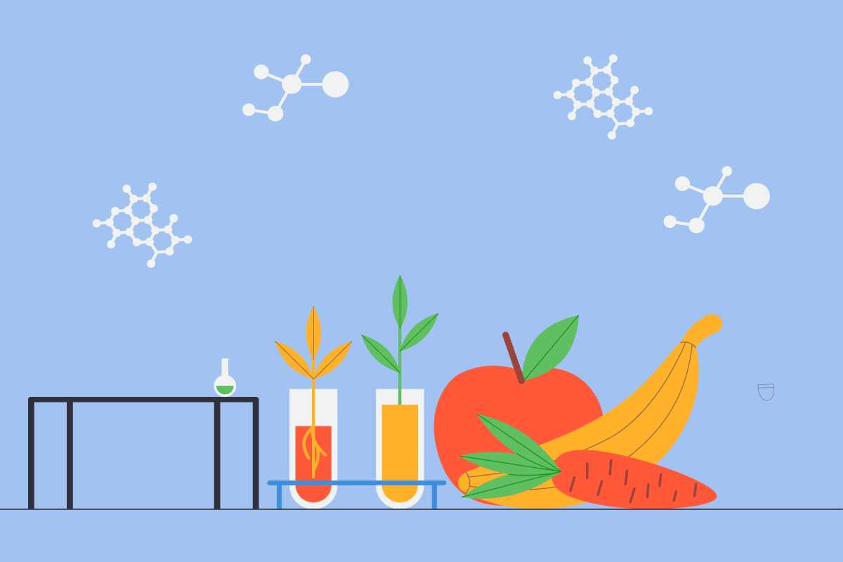 رشته مهندسی صنایع غذایی