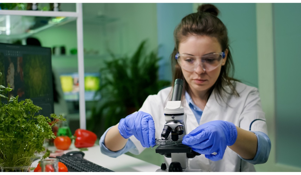 رشته علوم و صنایع غذایی