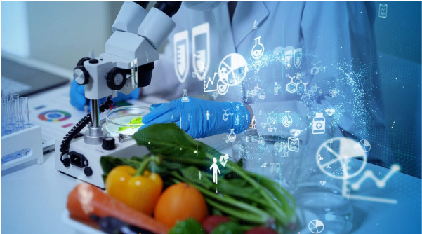 مهندسی صنایع غذایی