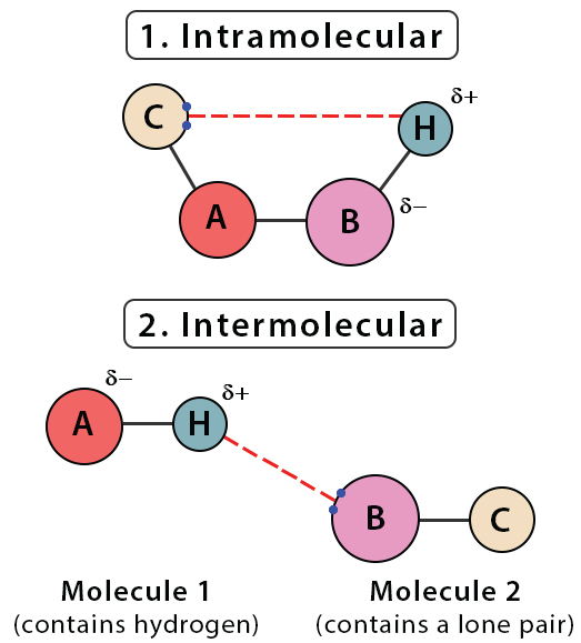 پیوند هیدروژنی