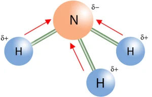 قطبیت آمونیاک