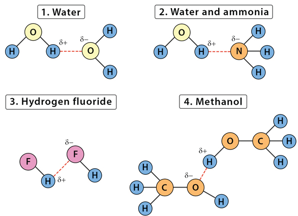 مثال از پیوند هیدروژنی