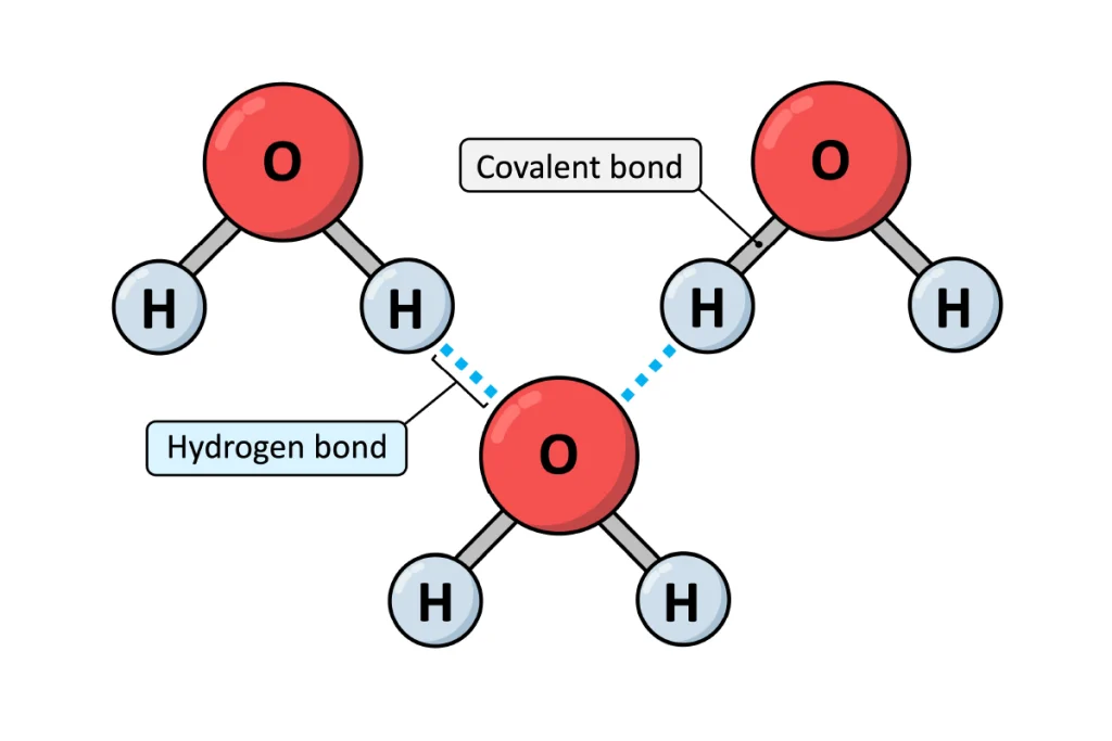 پیوند هیدروژنی