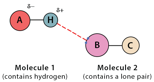 پیوند هیدروژنی چیست؟