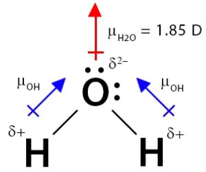 گشتاور دوقطبی آب