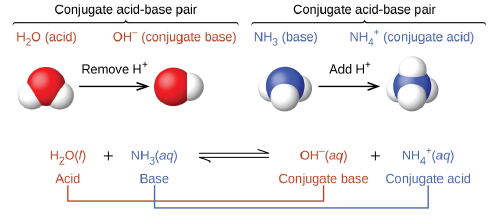 اسید و باز مزدوج