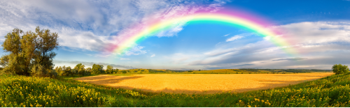 شیمی رنگین کمان