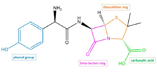 ساختار شیمیایی آموکسی سیلین