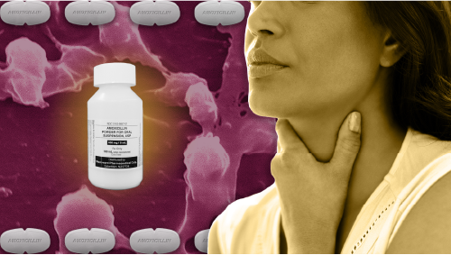 آموکسی سیلین