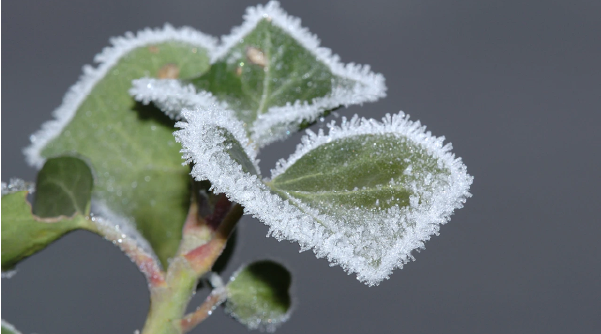 تبدیل حالت ماده