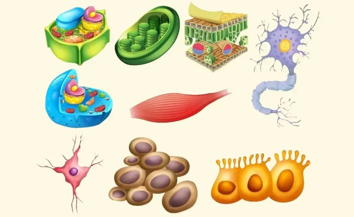 آموزش اصول و مبانی كشت سلول